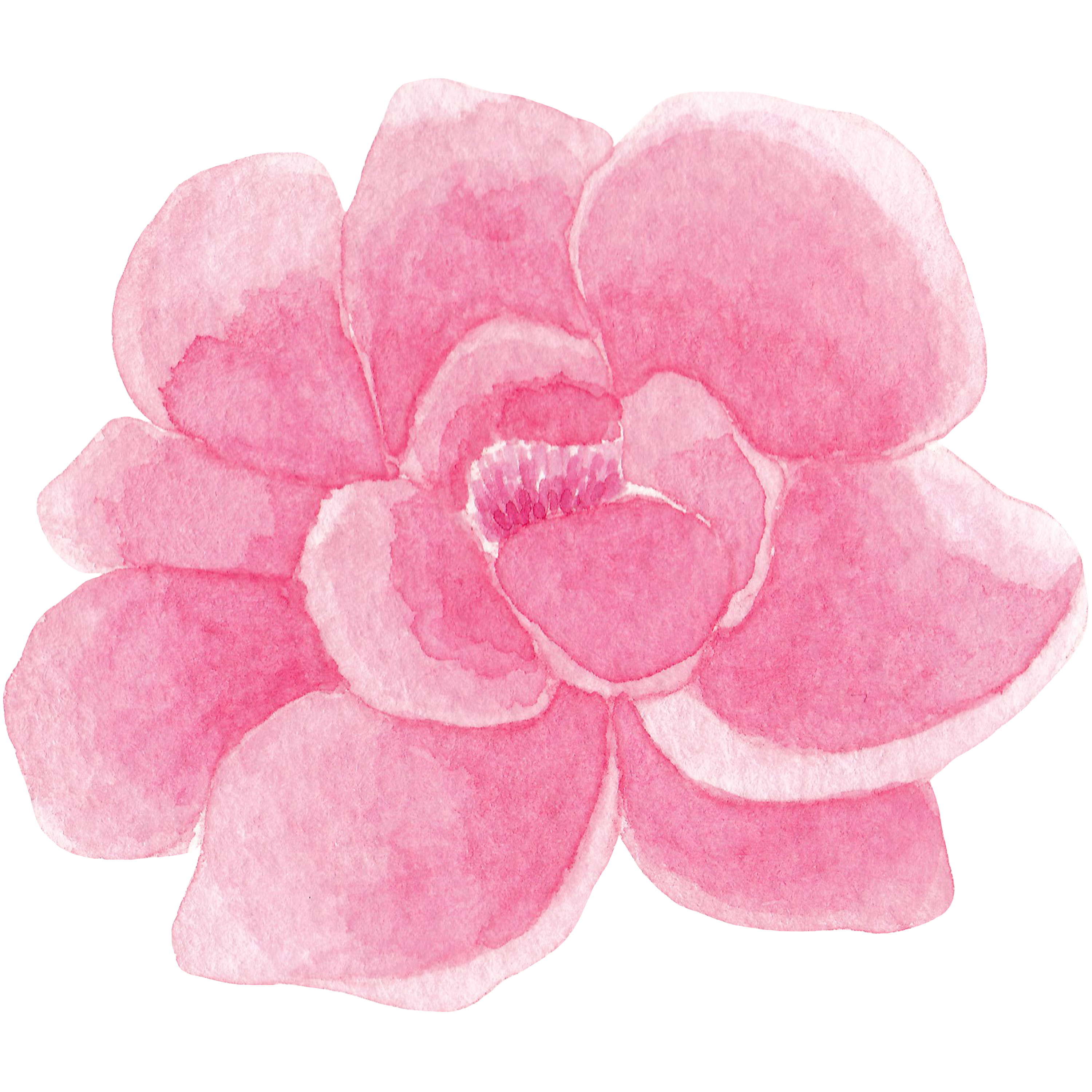 flower decoration